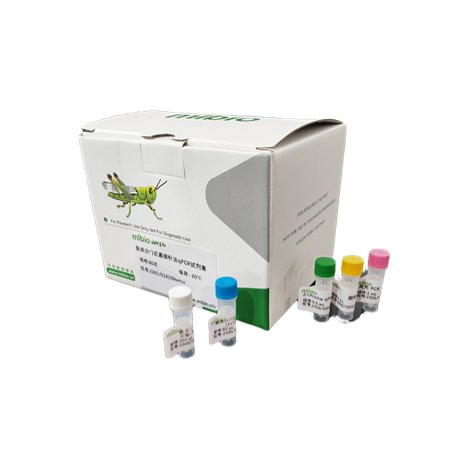 痒螨通用PCR检测试剂盒