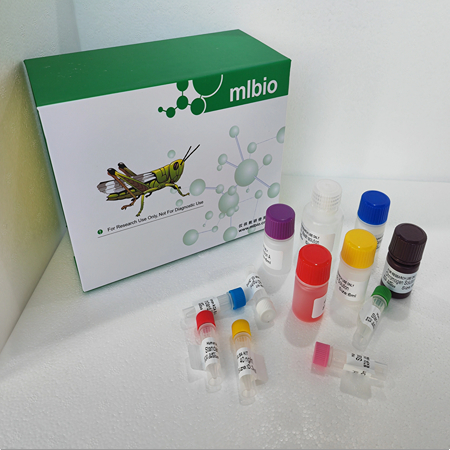 大鼠肌糖原（MG）ELISA 试剂盒